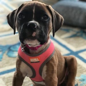 Meet your Posher, Camille